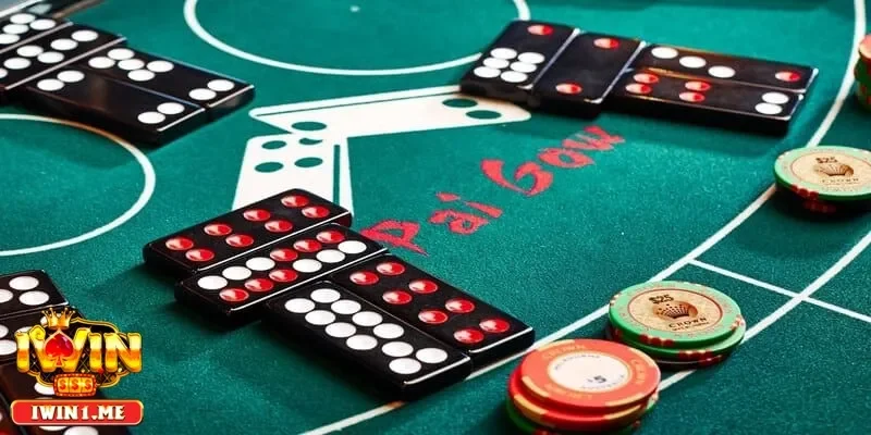 Các mẹo chơi bài cẩu giúp bạn đạt được kết quả tốt nhất trong mỗi ván