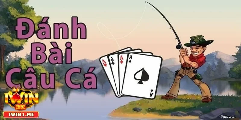 Cách chơi bài câu cá hiệu quả để ghi điểm cao trong mọi ván đấu