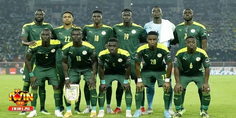 Phong độ và lối chơi của hai đội khi soi kèo Ecuador vs Senegal