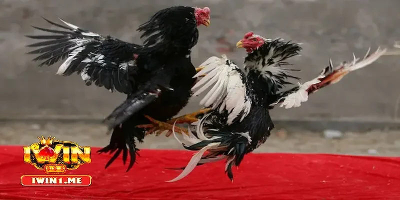 Phòng ngừa bệnh tật