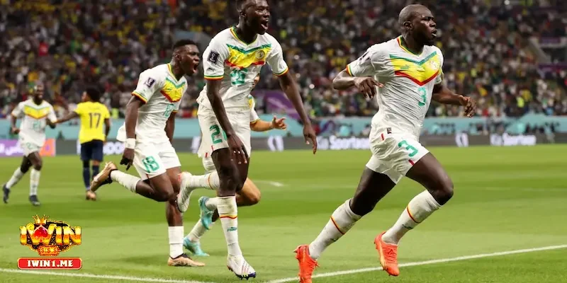 Soi kèo Ecuador vs Senegal chi tiết nhất